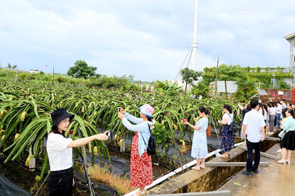 新澳精选资料免费提供,新澳精选资料免费提供，助力学习与成长的宝贵资源