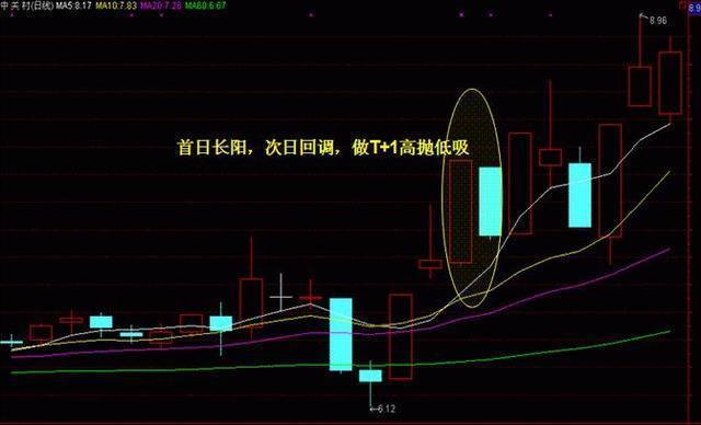 澳门内部最准资料澳门,澳门内部最准资料澳门——揭开犯罪的面纱