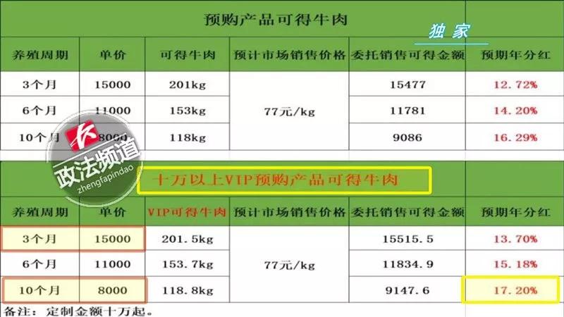 新澳好彩精准免费资料提供,警惕网络陷阱，新澳好彩精准免费资料提供背后的风险与挑战