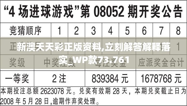 二四六天天彩944CC正版,二四六天天彩944CC正版，探索数字世界的魅力与乐趣