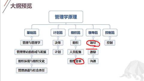 管家婆204年资料一肖配成龙,管家婆204年资料解析，一肖配成龙