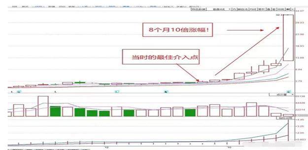 2025年1月24日 第51页