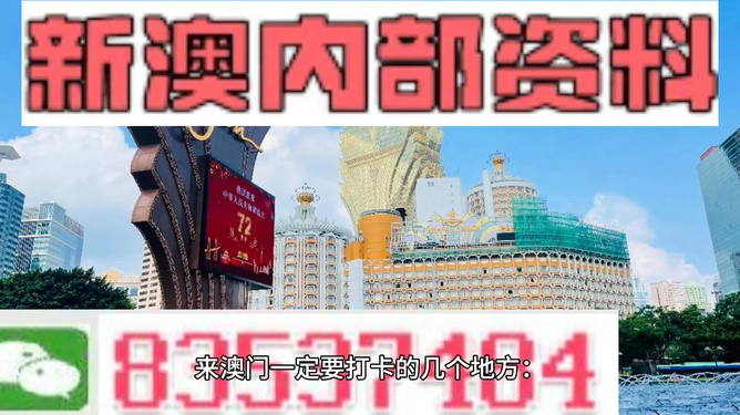 2025新澳最快最新资料,探索未来，2025新澳最快最新资料概览