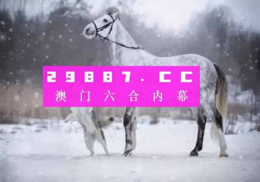 澳门码鞋一肖一码,澳门码鞋一肖一码，探索神秘预测背后的故事